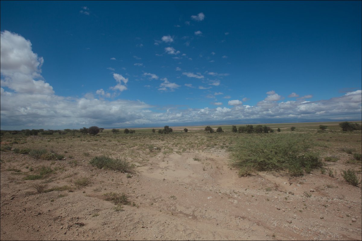 Amboseli, Kenya